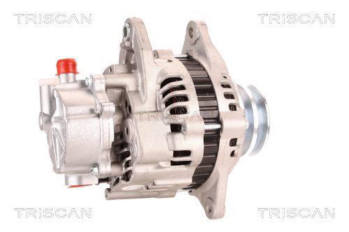 Alternateur Triscan A/S 8310 13020
