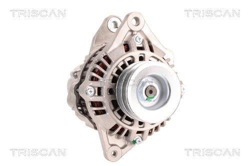 Alternateur Triscan A/S 8310 13020