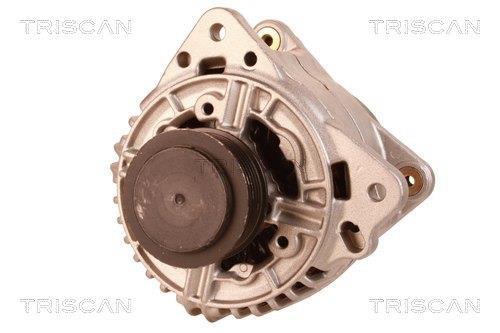 Alternateur Triscan A/S 8310 13020