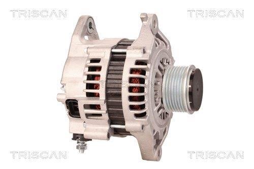 Alternateur Triscan A/S 8310 13021
