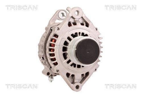 Alternateur Triscan A/S 8310 13021