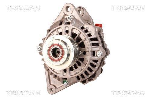 Alternateur Triscan A/S 8310 13021