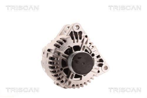 Alternateur Triscan A/S 8310 13024