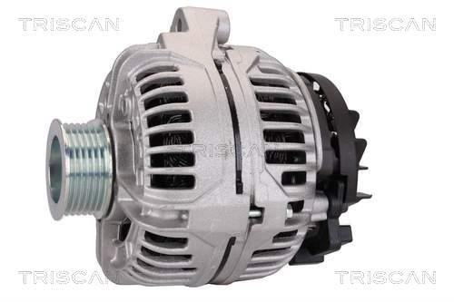 Alternateur Triscan A/S 8310 13024