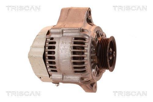Alternateur Triscan A/S 8310 13029