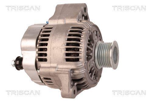 Alternateur Triscan A/S 8310 13030
