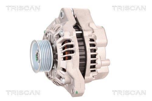 Alternateur Triscan A/S 8310 13030