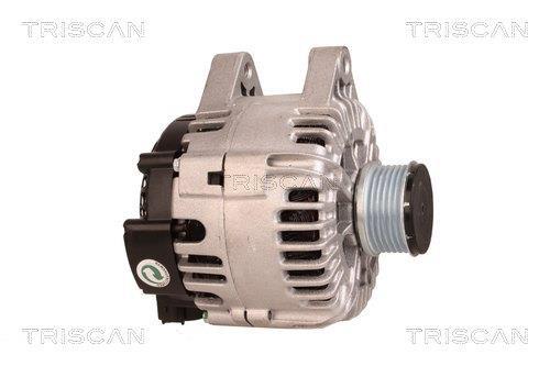 Alternateur Triscan A/S 8310 13031
