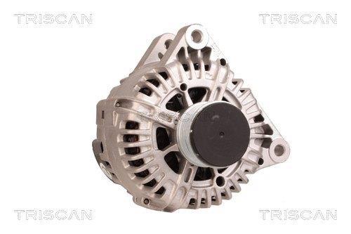 Alternateur Triscan A/S 8310 13031