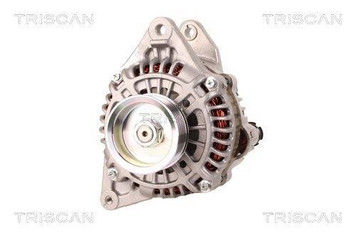 Alternateur Triscan A/S 8310 13033