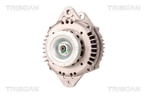 Alternateur Triscan A/S 8310 13034