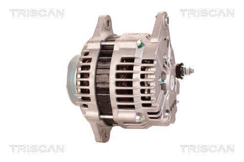 Alternateur Triscan A/S 8310 13034