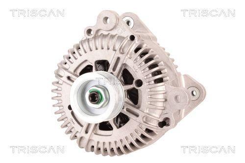 Alternateur Triscan A/S 8310 13035