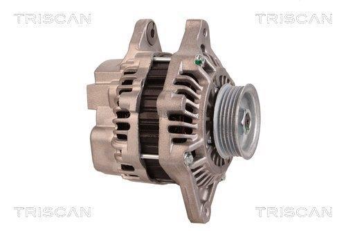 Alternateur Triscan A/S 8310 13037