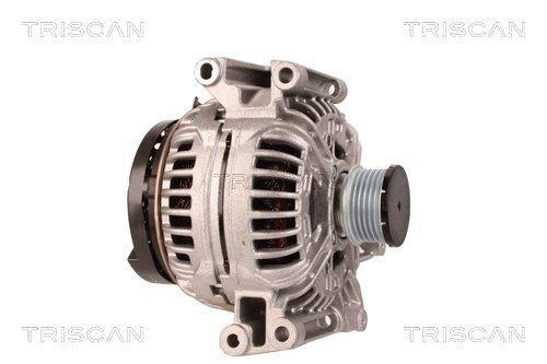Alternateur Triscan A/S 8310 13040