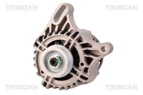 Alternateur Triscan A/S 8310 13040