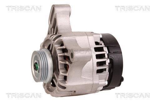 Alternateur Triscan A/S 8310 13040