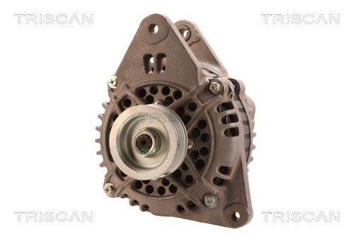 Alternateur Triscan A/S 8310 13042