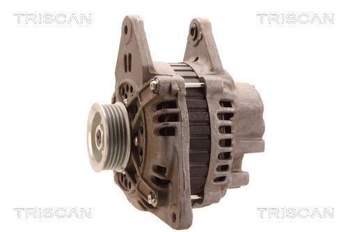 Alternateur Triscan A/S 8310 13042
