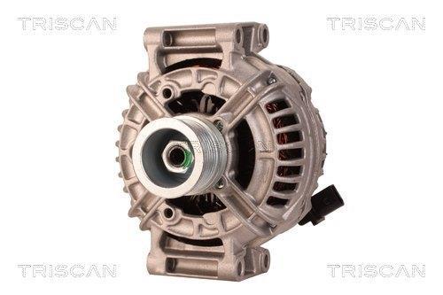 Alternateur Triscan A/S 8310 13044