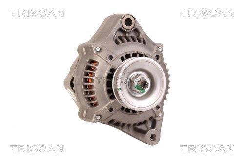 Alternateur Triscan A/S 8310 13046