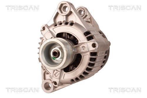 Alternateur Triscan A/S 8310 13046
