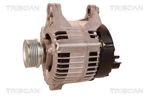 Alternateur Triscan A/S 8310 13046