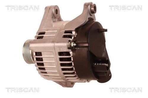 Alternateur Triscan A/S 8310 13046