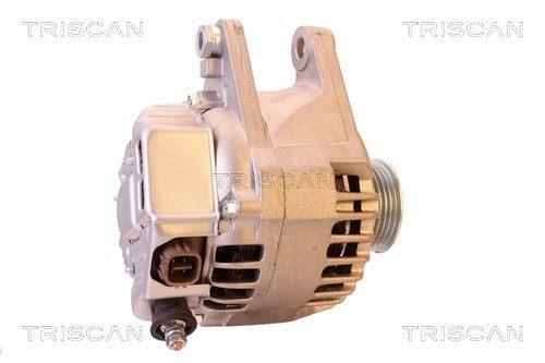 Alternateur Triscan A/S 8310 13047