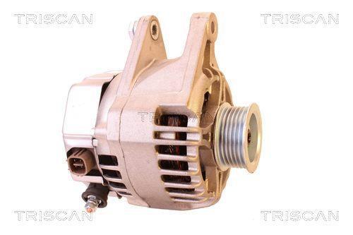 Alternateur Triscan A/S 8310 13047