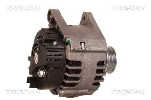 Alternateur Triscan A/S 8310 13049