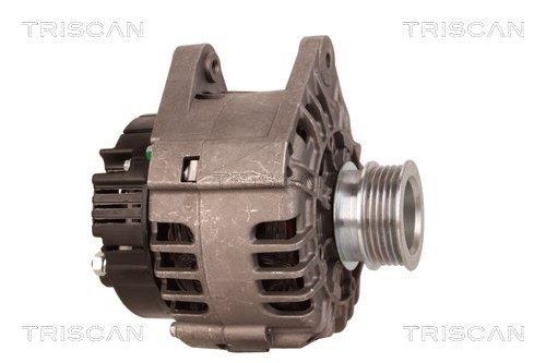 Alternateur Triscan A/S 8310 13049