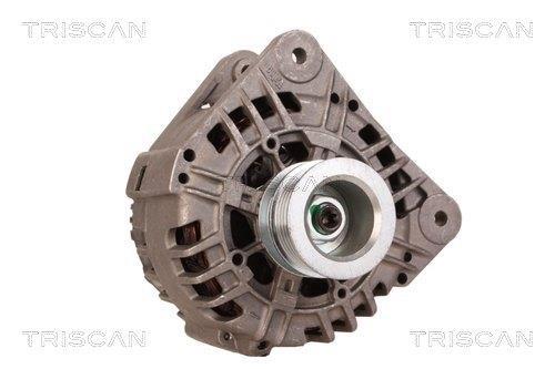 Alternateur Triscan A/S 8310 13049
