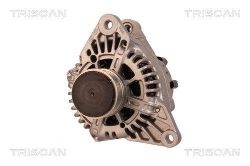 Alternateur Triscan A/S 8310 13049