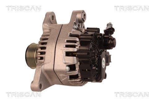 Alternateur Triscan A/S 8310 13049