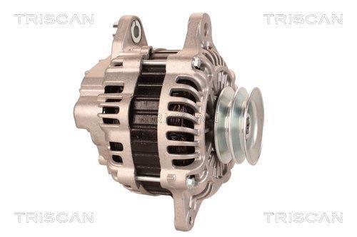 Alternateur Triscan A/S 8310 13050