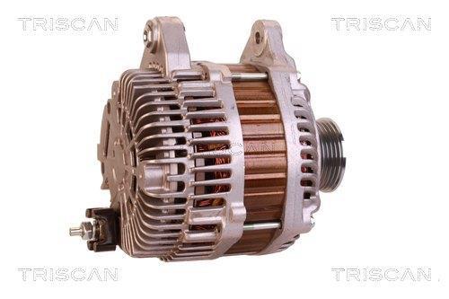 Alternateur Triscan A/S 8310 13051