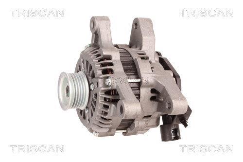 Alternateur Triscan A/S 8310 13051