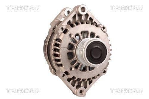Alternateur Triscan A/S 8310 13053