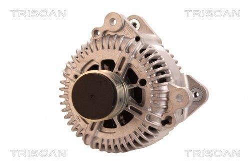 Alternateur Triscan A/S 8310 13053