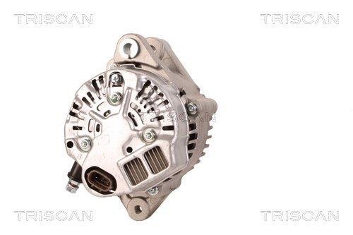 Alternateur Triscan A/S 8310 13060
