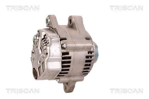 Alternateur Triscan A/S 8310 13060