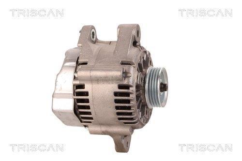 Alternateur Triscan A/S 8310 13060
