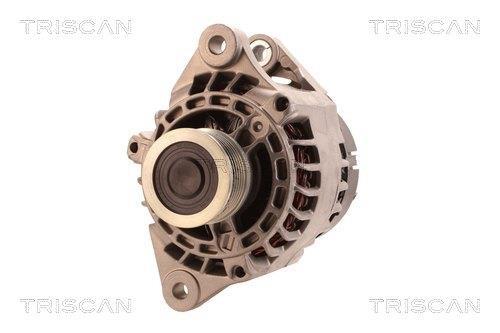 Alternateur Triscan A/S 8310 13060