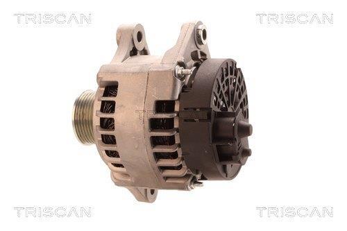 Alternateur Triscan A/S 8310 13060