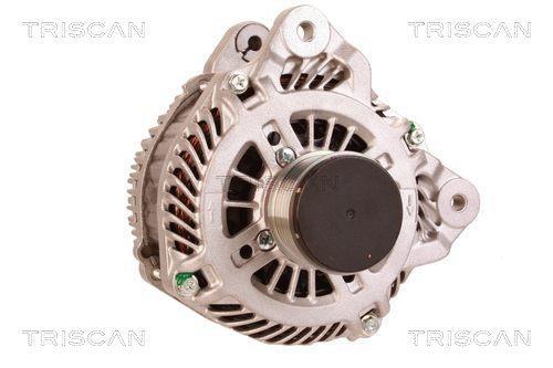 Alternador Triscan A/S 8310 13061