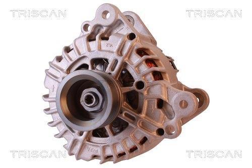 Alternador Triscan A/S 8310 13061