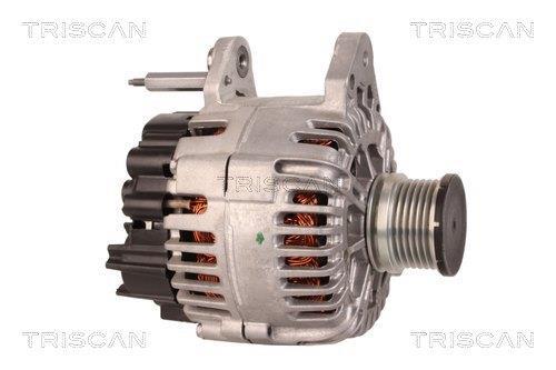 Alternateur Triscan A/S 8310 13062