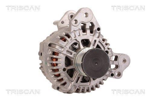 Alternateur Triscan A/S 8310 13062