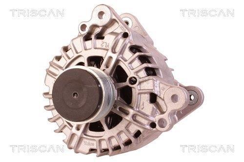 Alternateur Triscan A/S 8310 13062
